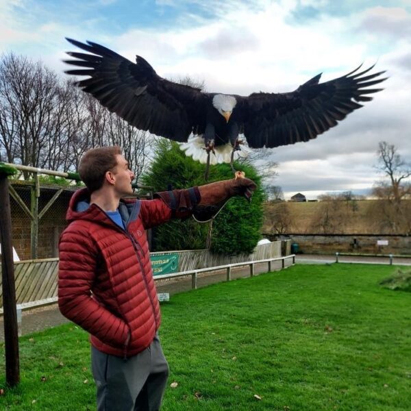 The Raptor Hour (For up to four adults)