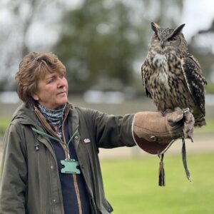 Half Day Owl Experience