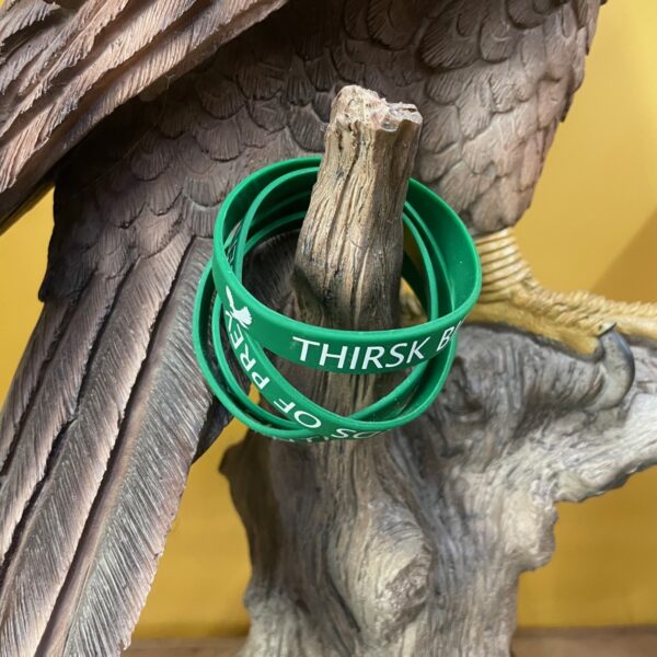 TBOPC Wristband
